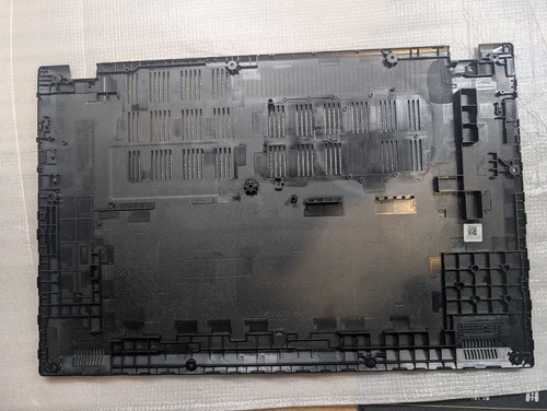 Originale acer extensa - originale,