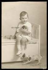 1914 - Animale da tiro Jack