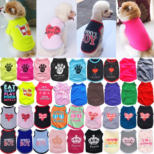 Vestiti per cani animali - vestiti,