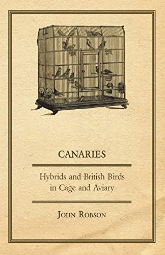 Canaries hybrids and - hybrids,