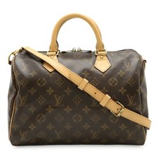 LOUIS VUITTON Monogram Speedy