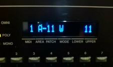 Display OLED personalizzato