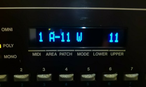 Display oled personalizzato - display,