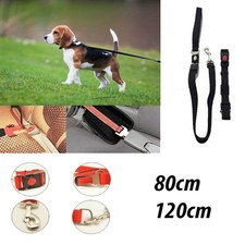 GUINZAGLIO CINTURA DI