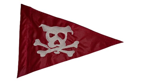 Teschio cane pirata ossa
