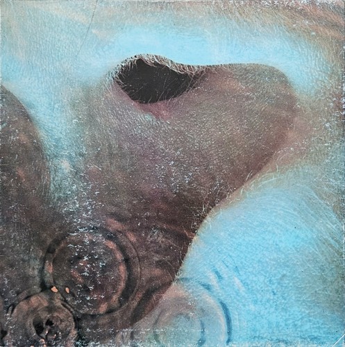 Vinile giri pink floyd - vinile, 33