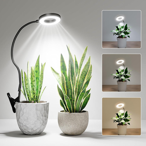 Lampada per piante - piante, grow