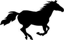 Adesivo cavallo adesivo
