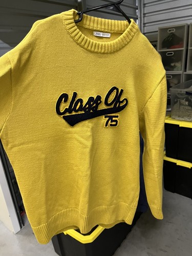 Mens zara sweater