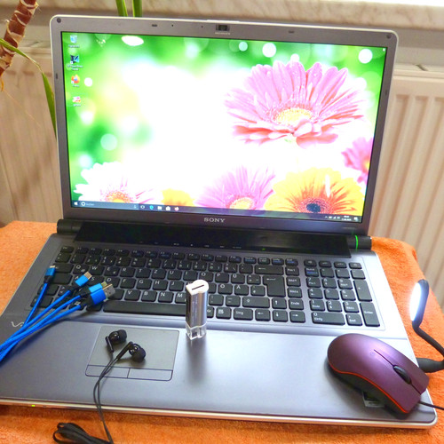 Sony vaio aw41 pollici - sony,