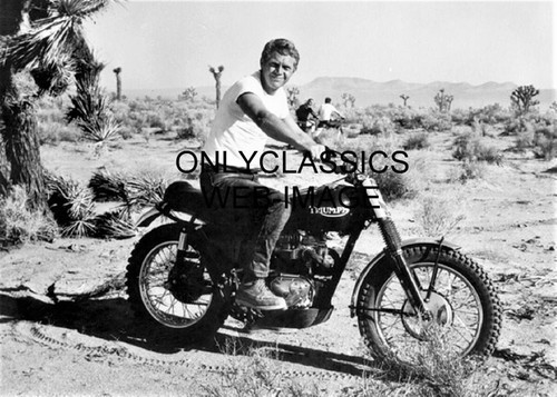 Attore cool dude steve - dude, mcqueen