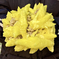 Raro esemplare minerale