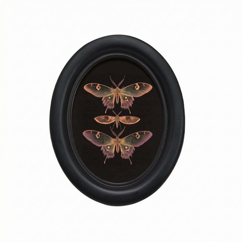 Cornice nera vintage - nera, profilo