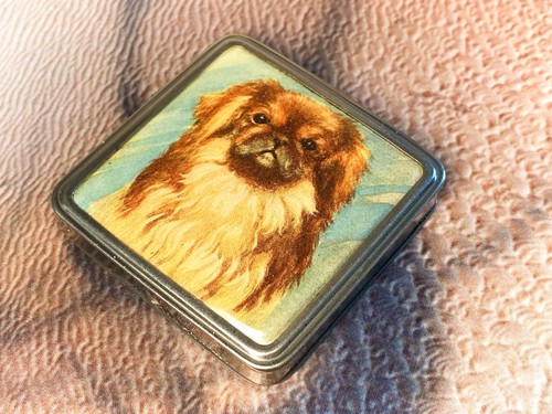 Stratnoid 1920s with pekingese - stratnoid,