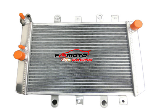 Radiator for yamaha grizzly - for,