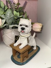 West Highland White Terrier