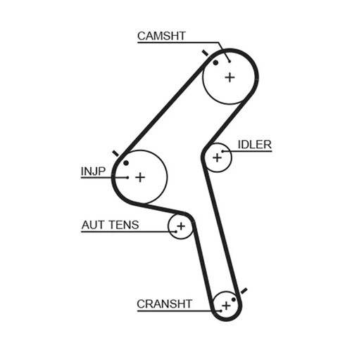 Kit cinghie dentate gates - kit,