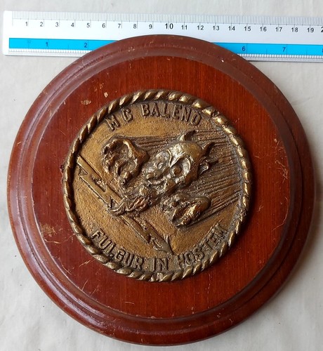 Crest con stemma marina - crest,