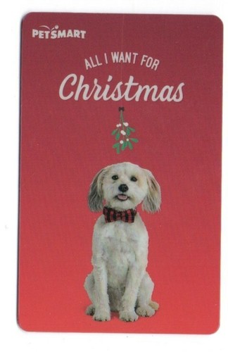 Petsmart cute puppy - petsmart, dog