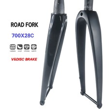 Disco forcella anteriore in