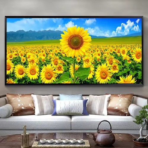 Pianta girasole paesaggio - pianta,