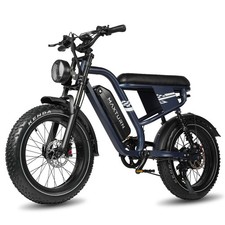 Maxtron MAX10 E-Bike 20*4.0"