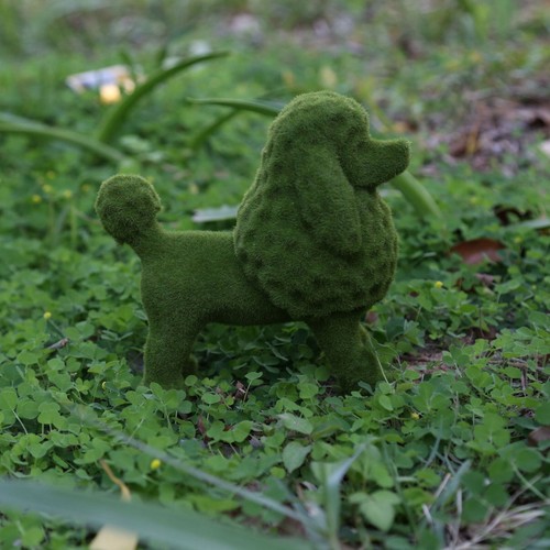 Statua animale - (tipo, c)