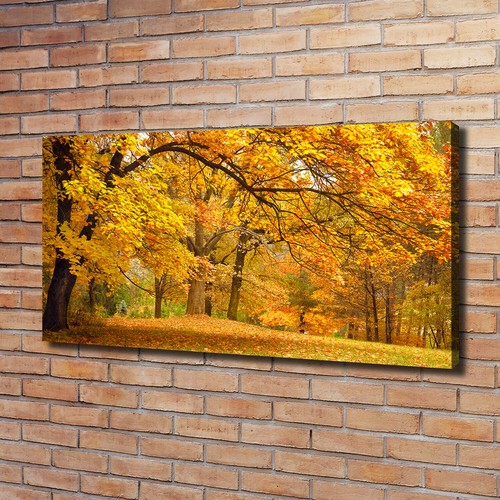 Quadro tela stampa - su,