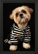 Cairn terrier poster arte - cairn, da