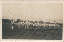 Friuli Manifestazione storica