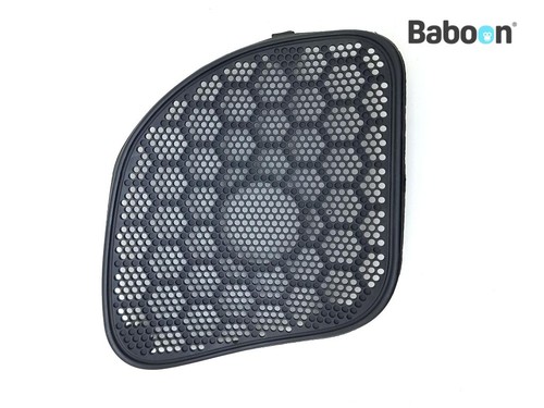 Speaker radio sinistro