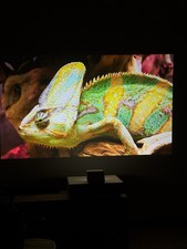 Video proiettore epson UST LED EH-LS500W ottica ultra corta  4k 120” Android TV