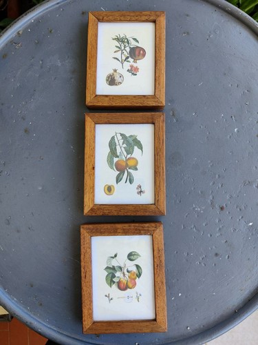 Quadretti piccoli con frutta