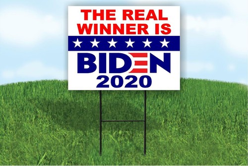 Vero vincitore joe biden - il,
