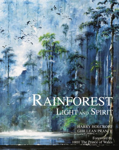 The rainforest light - the, and