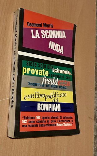 Scimmia nuda studio - la,