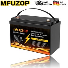 Batteria litio 12V 100Ah