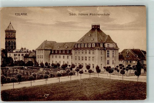 10352839 colmar - 10352839,