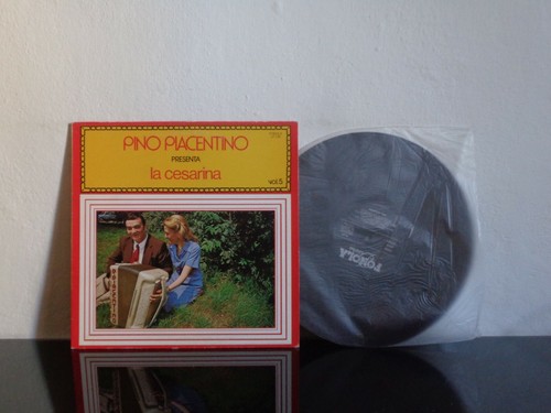 Pino piacentino cesarina - pino,