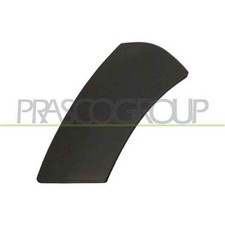 Terminale Sinistro Paraurti