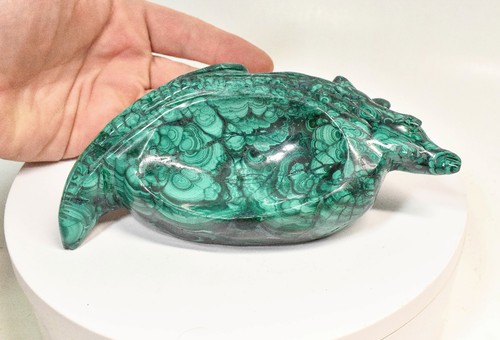 Ciotola coccodrillo malachite