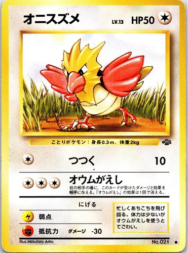 Spearow common pokemon jungle - spearow,