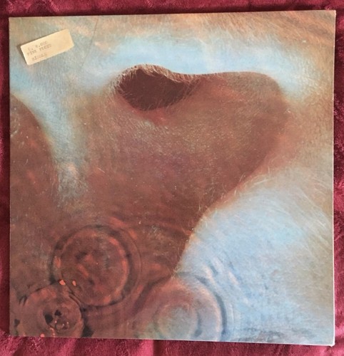 Pink floyd meddle - pink,
