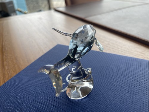 Swarovski scs giovane - scs, balena
