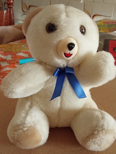 Peluche dell orsetto coccolino - peluche, dell'orsetto