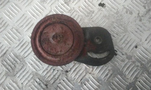 Tendicinghia per iveco - tendicinghia,