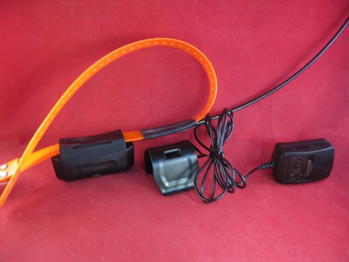 Garmin dc40 gps collare - garmin,