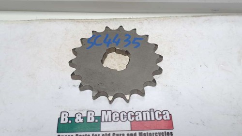 Pignone catena z18 motobi 175 - pignone,