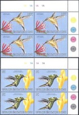 Congo 2000 uccellini, colibrì, natura, fauna selvatica Bl4, MNH