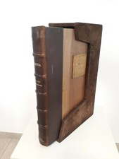 ODISSEA DELFINO EDIZIONI